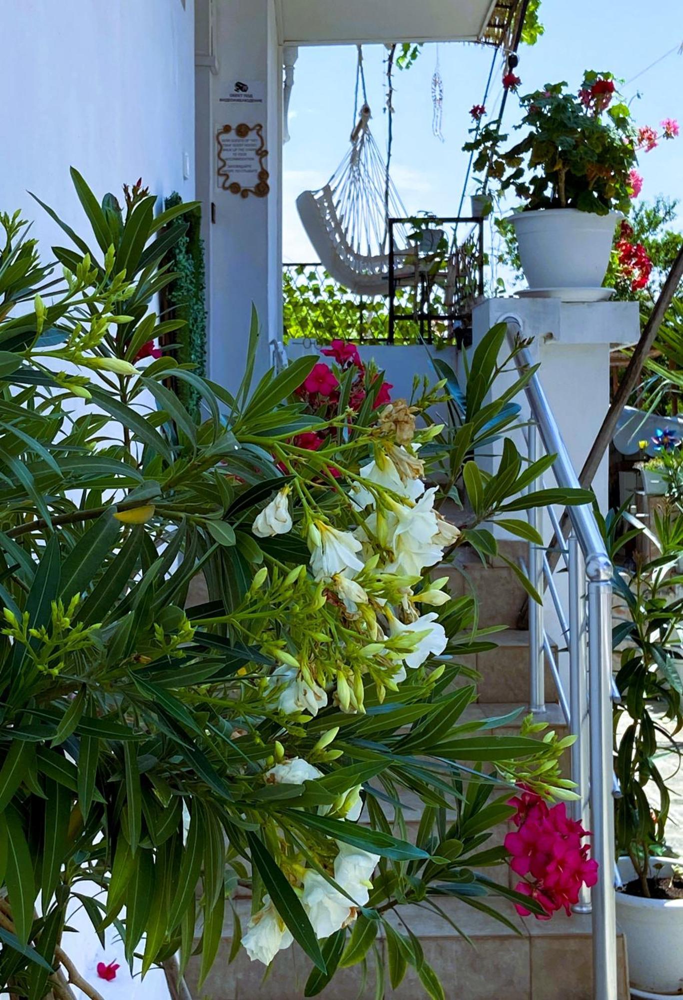 Guest House Hei Taka Sozopol Exterior photo
